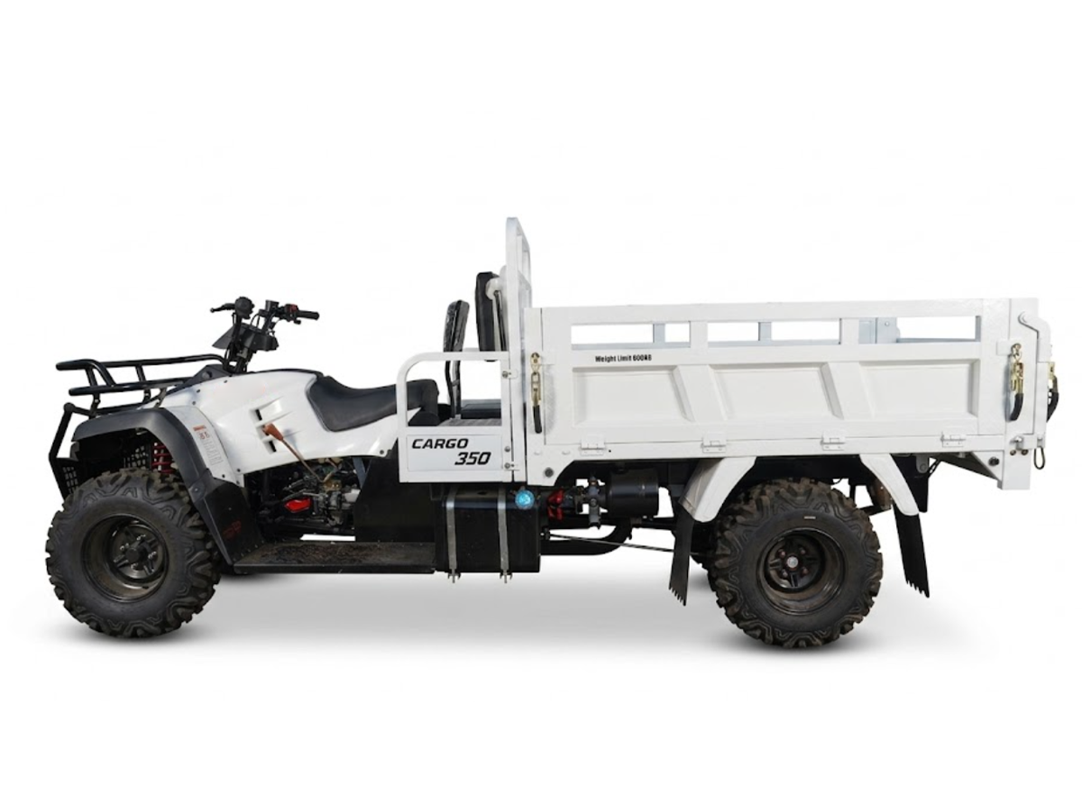 Cargo 350